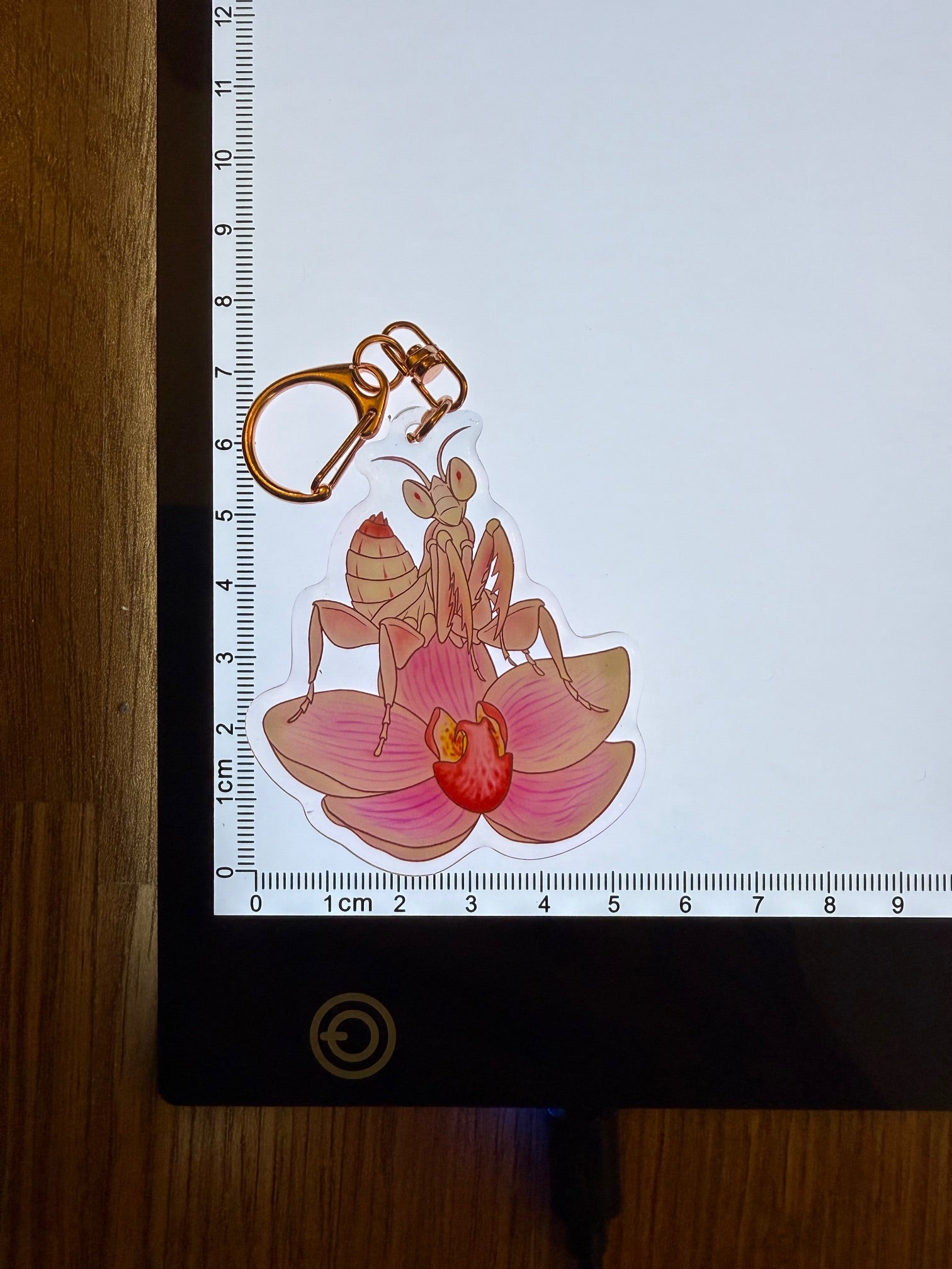 Charm - Orchid Mantis