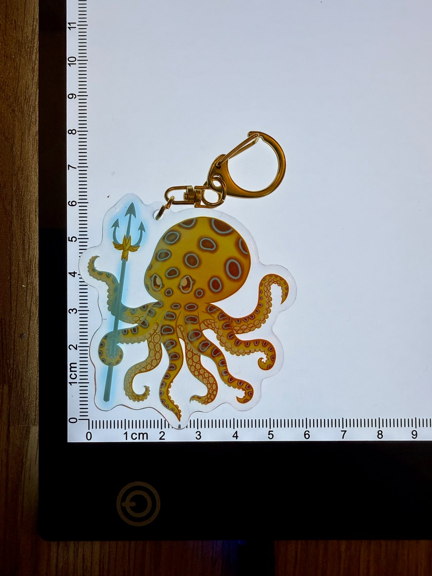Charm - Trident Octopus