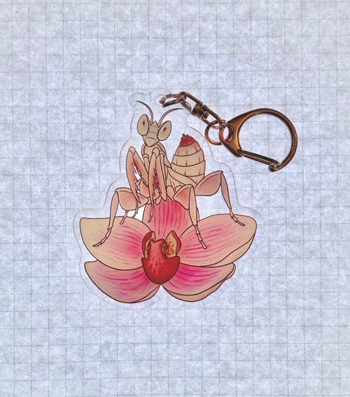 Charm - Orchid Mantis